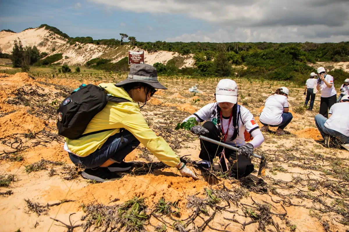 Common Mistakes in Heathland Restoration Projects and How to Avoid Them